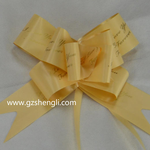 小英文蝴蝶拉花（10条/包，5*85CM,不包邮） 商品图5