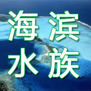海滨水族200429