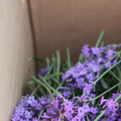 没什么111111200509