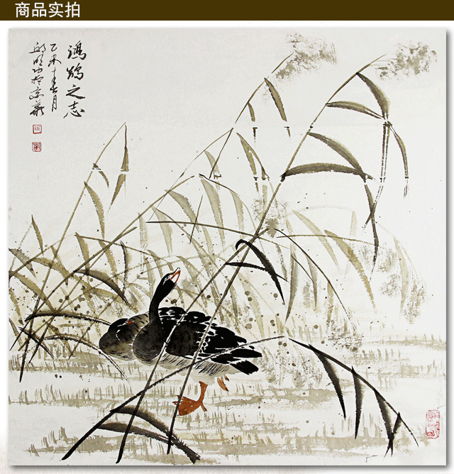 邱明功老师作品25鸿鹊之志70x70cm已托