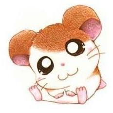 合宝康食品商城200429