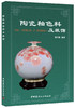 【正版现货】陶瓷釉色料及装饰 池至铣著  中国建材工业出版社 商品缩略图0