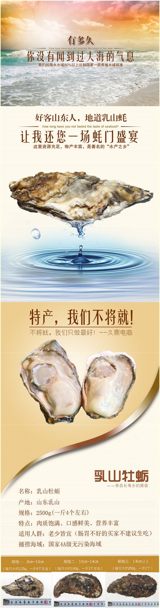 中国北方第一牡蛎 乳山牡蛎