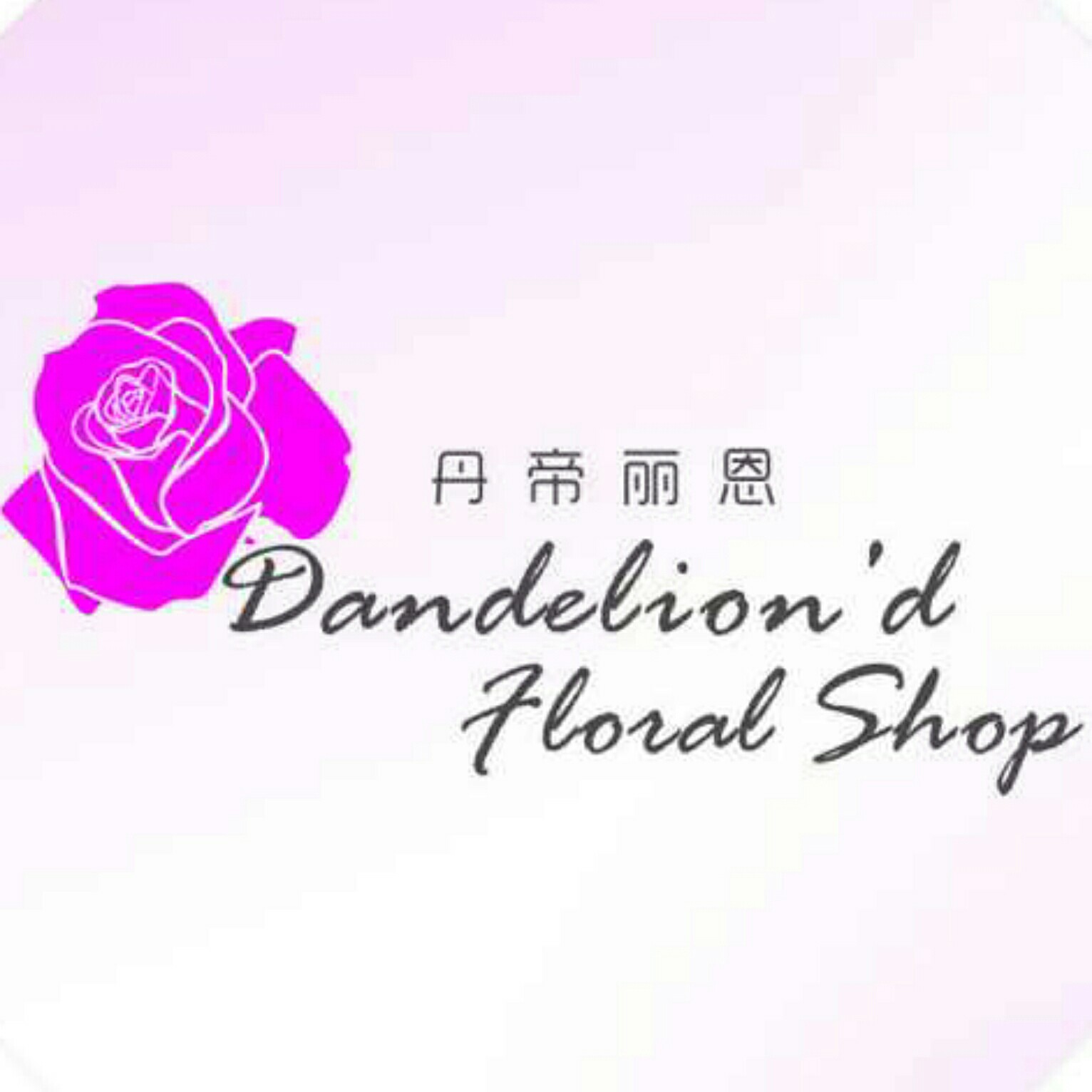 济南丹帝丽恩花艺设计有限公司200509