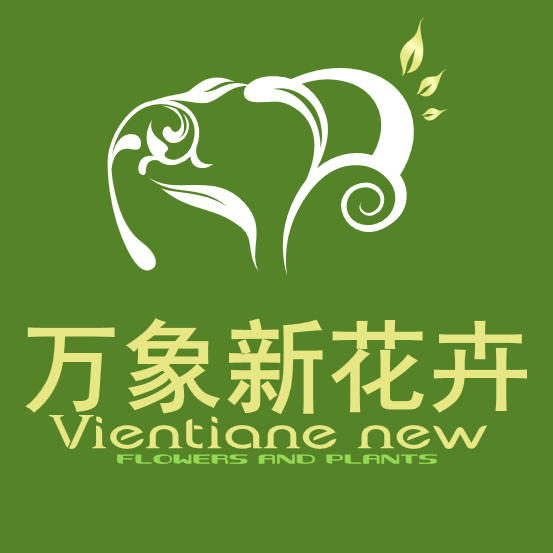 惠州万象新园林工程有限公司200508