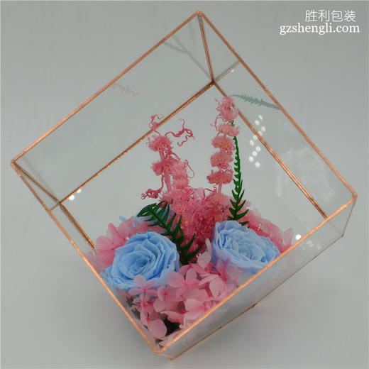 方形玻璃罩 商品图2