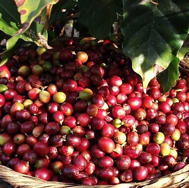 果子果妈杂货铺200508