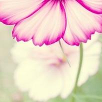 奋斗的雪雪200508