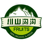 四川山沟沟161031