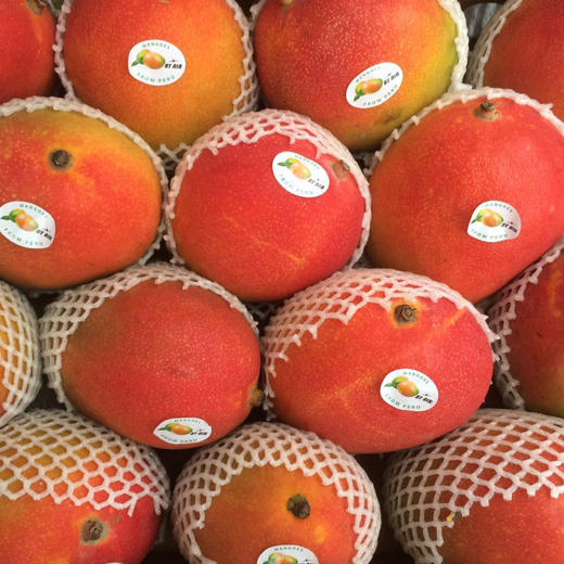 「水果优选」秘鲁太阳芒 商品图0