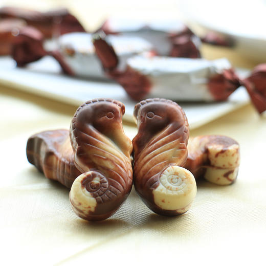 比利时进口吉利莲Guylian金魅炫巧克力超值三包装 情人节生日礼盒三种口味海洋生物形生动可爱【有间保税进口】 商品图3