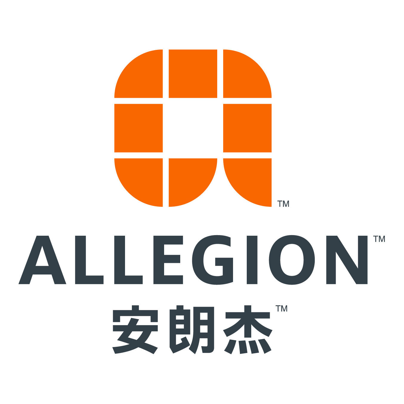 安朗杰安防技术（中国）有限公司200509