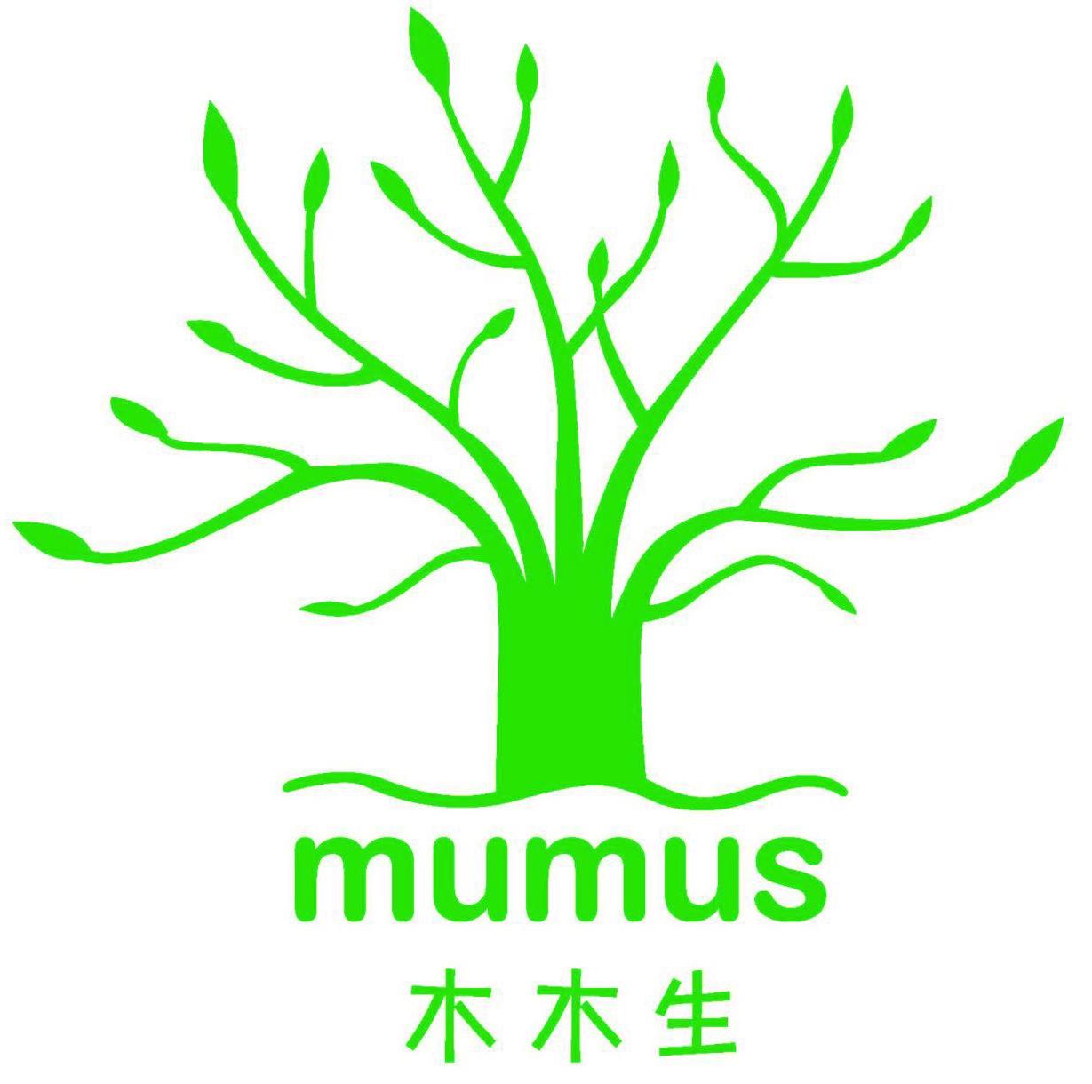 木木生200508