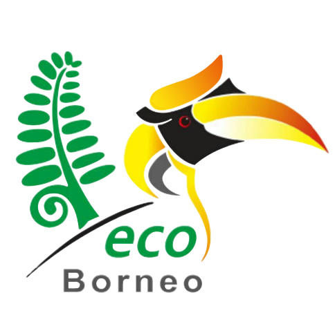 马来西亚婆罗洲农垦农产品200509