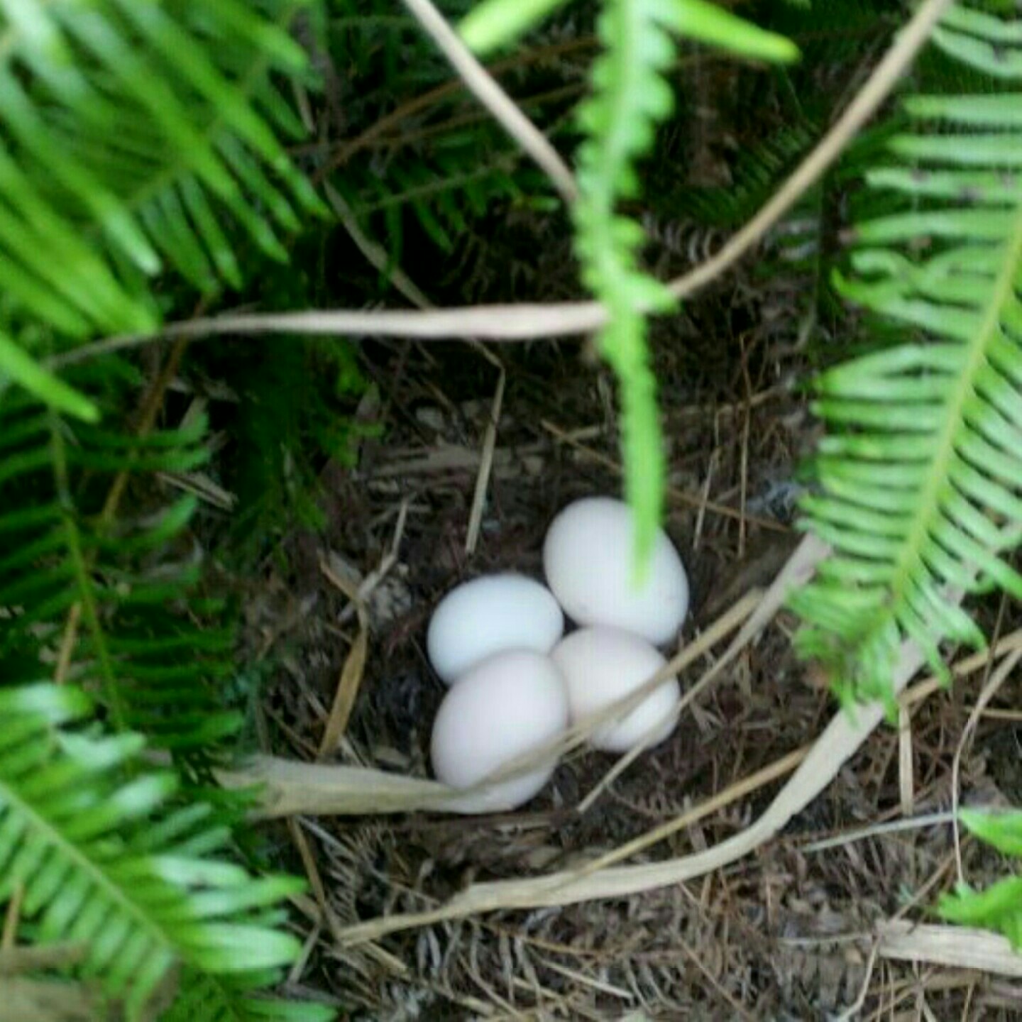 农家好食在200509