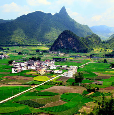 连平县客家特产200508