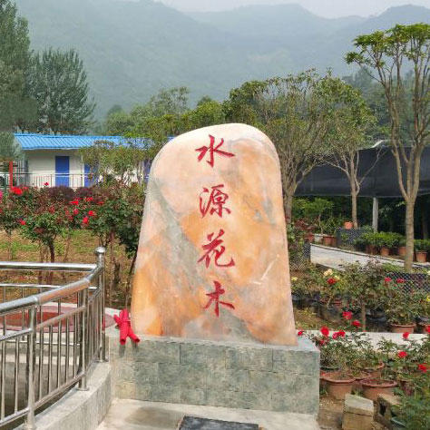 水源花木园艺场200508