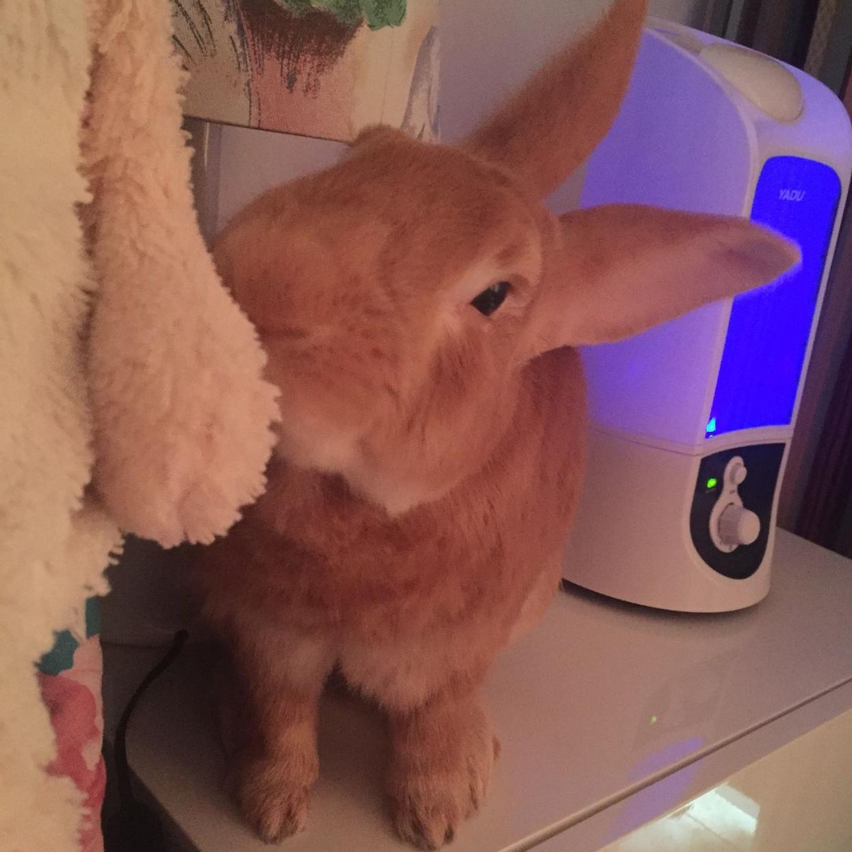 八佰伴生活超市200508