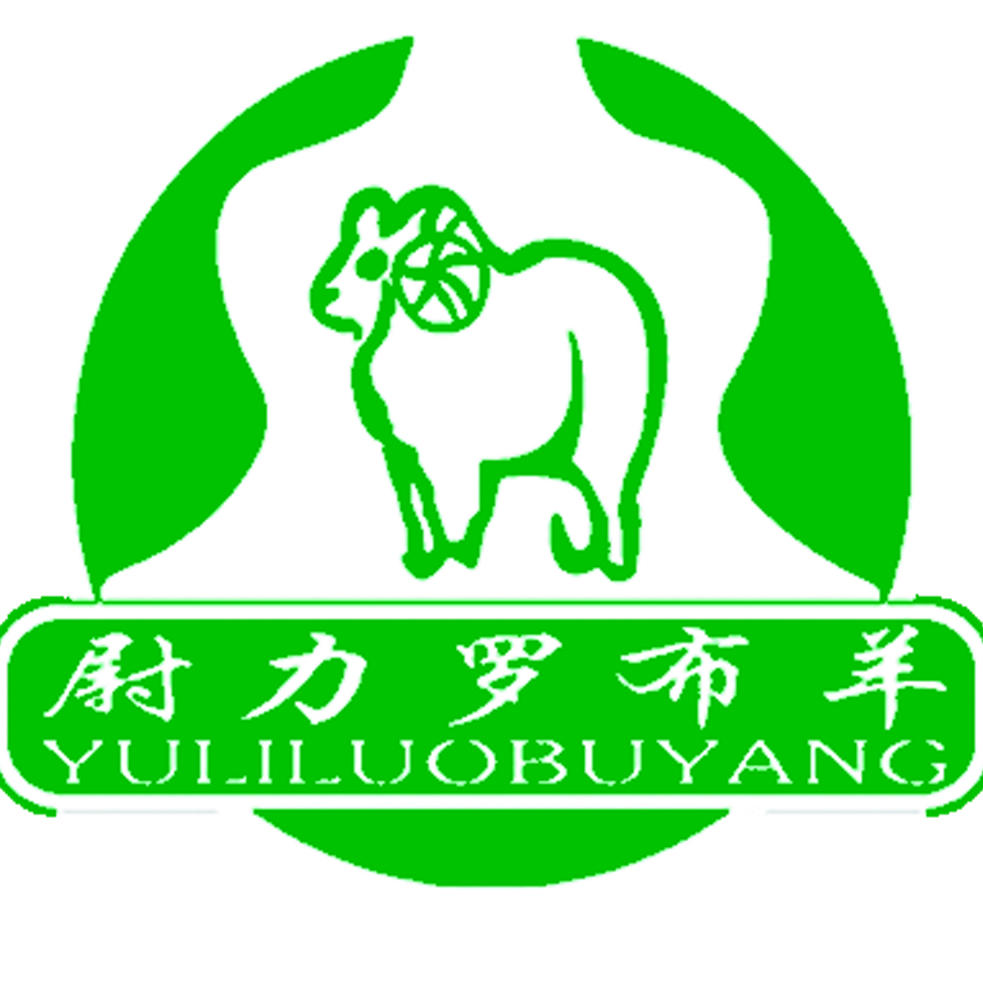 尉犁达西罗布羊200508