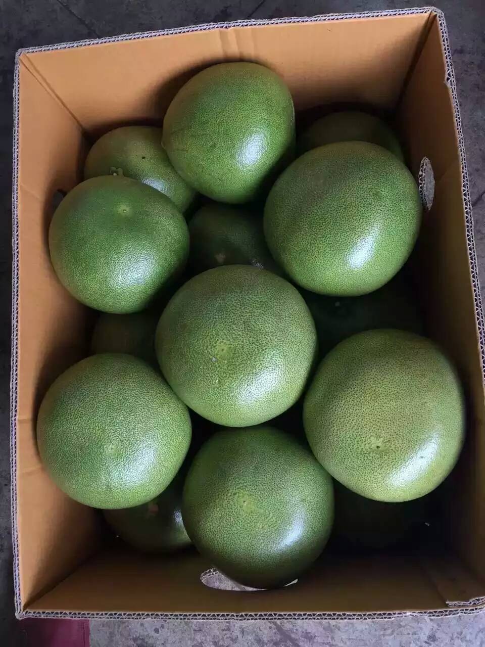 泰国青柚,世界最好吃的柚子,泰国直发到家,每件