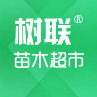 树联苗木超市200508