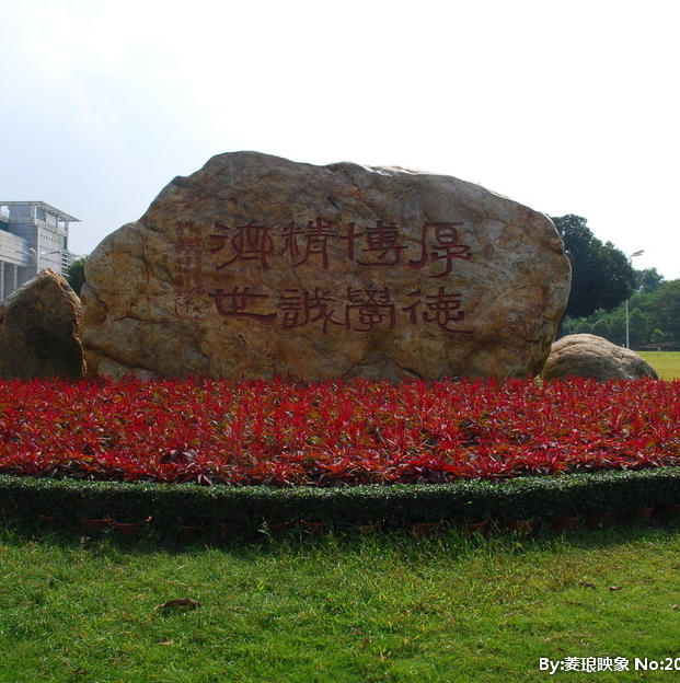 游子泳具商城200509