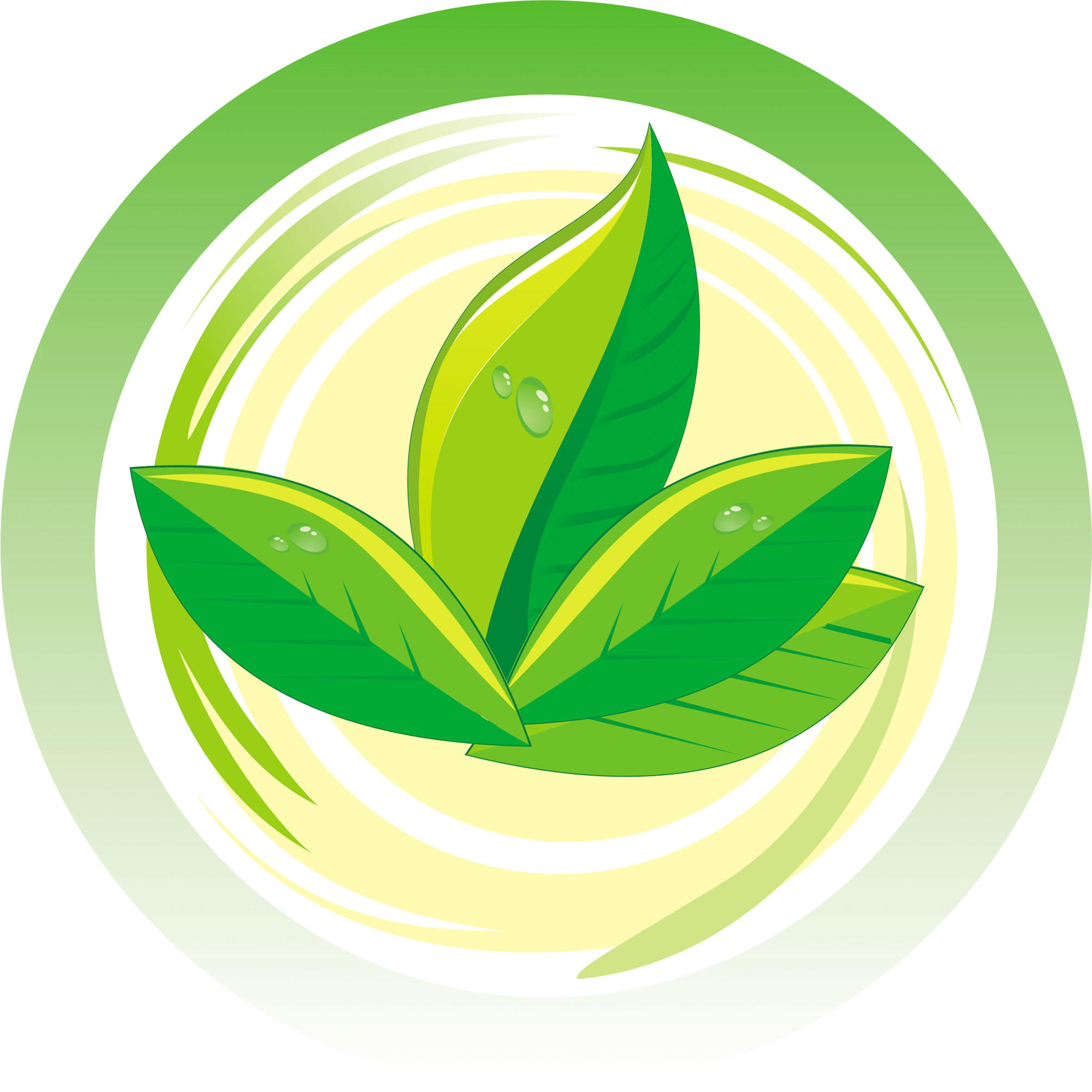 冀沧土特产200427