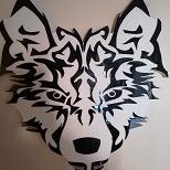 狼行户外用品商店200508