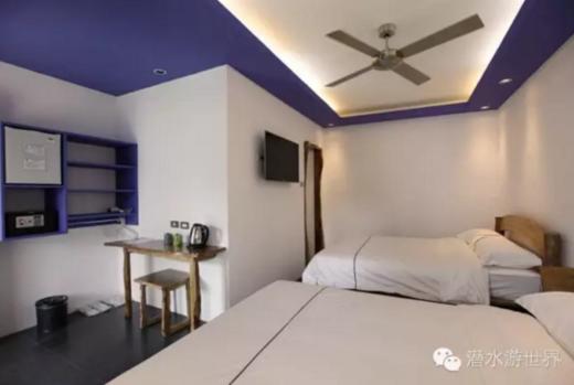 【度假村】菲律宾海豚湾PG潜水套餐 - 海舞间 商品图3