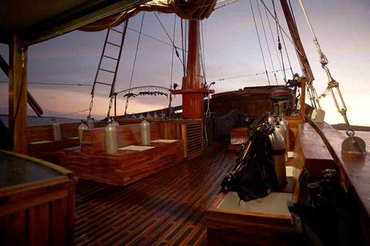 【船宿】印尼四王岛/科莫多 DAMAI 船宿 商品图7