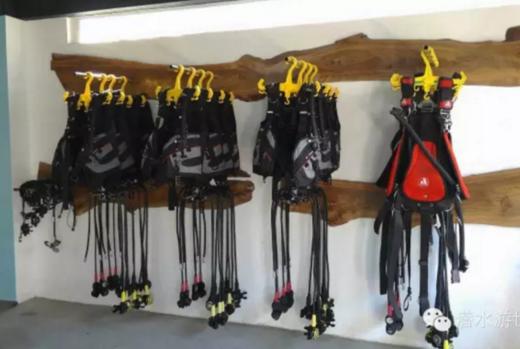 【度假村】菲律宾海豚湾PG潜水套餐 - 海舞间 商品图10