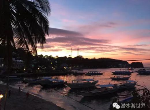 【度假村】菲律宾海豚湾PG潜水套餐 - 海舞间 商品图7