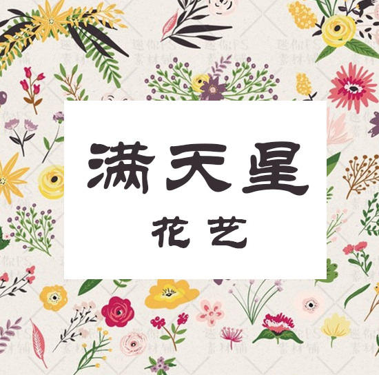 桐城路满天星花艺200429