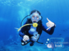 【潜店】印尼巴厘岛Blue Season Bali潜水套餐 商品缩略图1