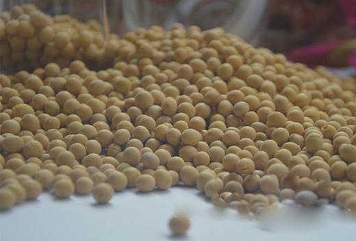 熟豌豆 商品图0