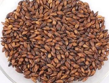 大麦茶（1斤装） 商品图0