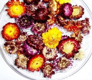 七彩菊（1斤装） 商品图0