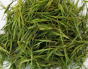 竹叶青（1斤装）