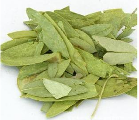 减脂叶（1斤装）