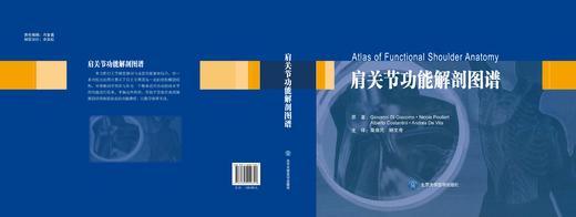肩关节功能解剖图谱  辽科出版 商品图2