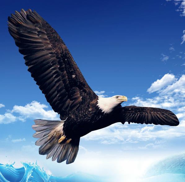 新海食品商行200508