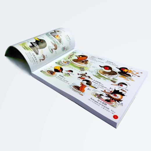 博物书籍 | 麦田漫画屋·Q版奇趣野鸟图鉴 商品图1