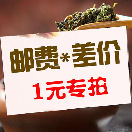 永利汇1元补拍链接  仅用于补拍运费 产品差价 补多少元 拍多少件 商品图0