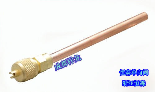 恒森优质单向阀10CM 10只/袋 商品代码28018 商品图0