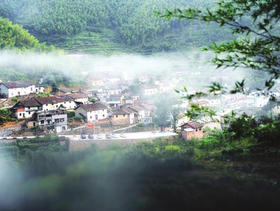 （永久下架）拥抱金山林海之遂昌三井问茶游