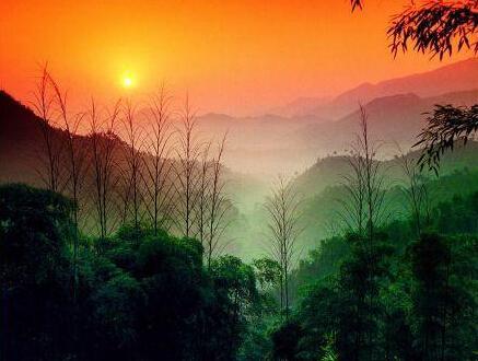 “小小超人”训练营+安吉凯蒂猫家园最萌之旅 商品图0