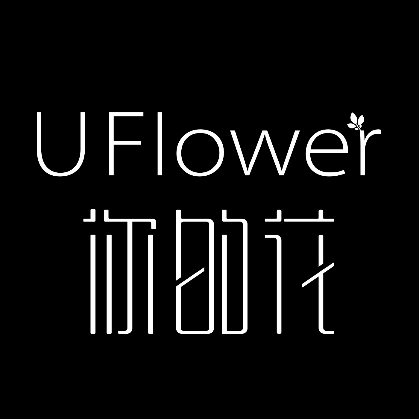 UFlower你的花200508
