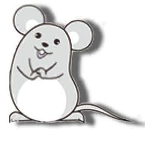 阳光化妆品折扣保真店200508