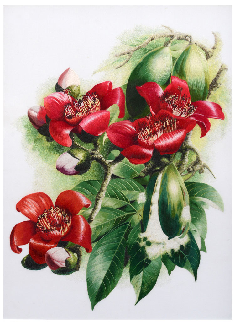 苏绣刺绣diy套件初学手工装饰画大红花朵30*40cm