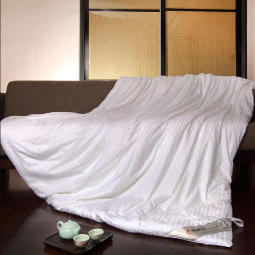 双宫蚕丝被/纯手工/100%纯桑蚕/桐乡特产 联系客服选粉色白色 商品图0